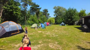 Jugendcamp mit SV Motor Wolgast Judo 5